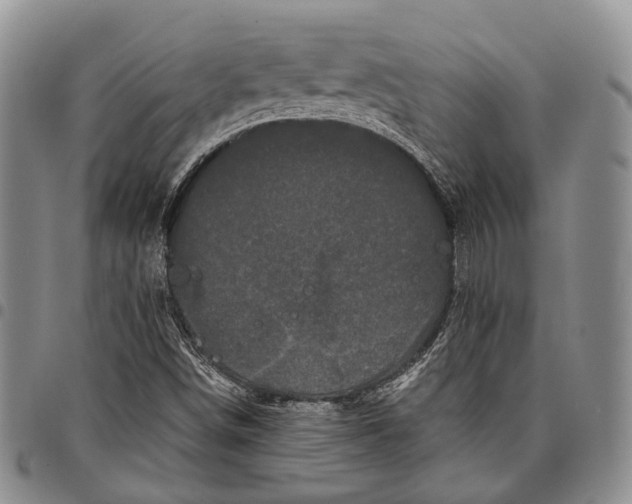 X0000097991498200804141129