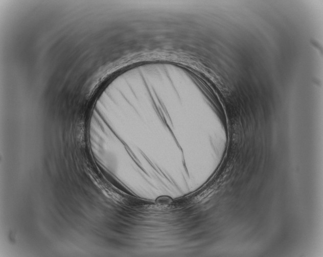 X0000097991499200804141129