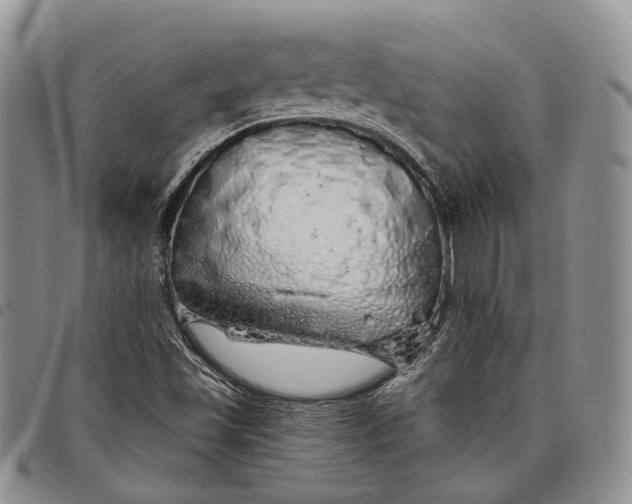 X0000097991501200804141129