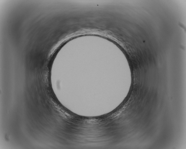 X0000097991502200804141129