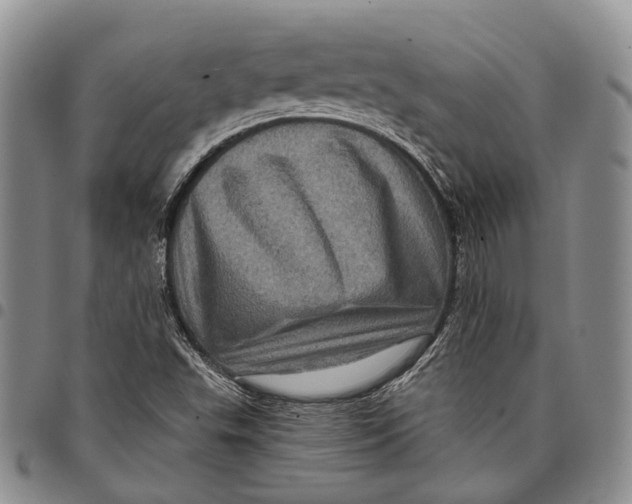 X0000097991503200804141129