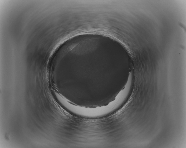 X0000097991506200804141129