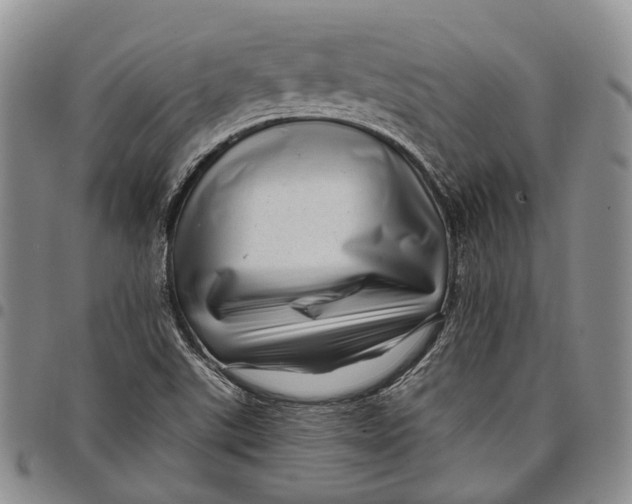 X0000097991507200804141129