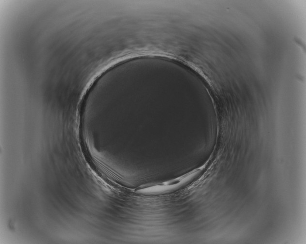 X0000097991508200804141129