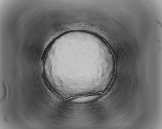 X0000097991509200804141129