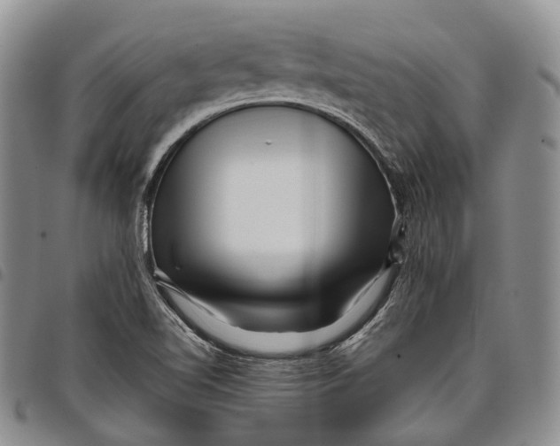 X0000097991510200804141129