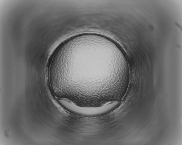 X0000097991511200804141129