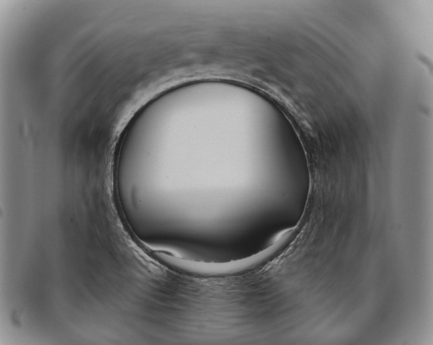 X0000097991512200804141129