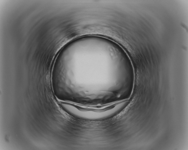 X0000097991513200804141129