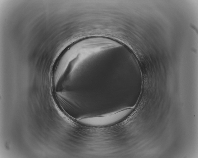 X0000097991515200804141129