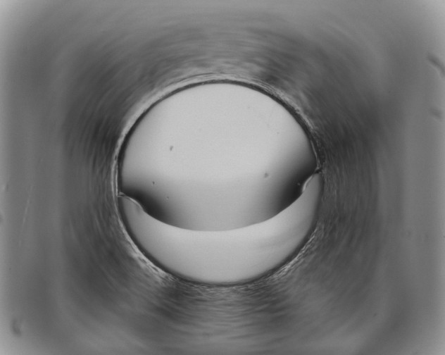 X0000097991516200804141129