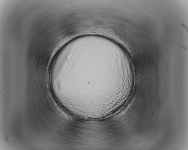 X0000097991517200804141129