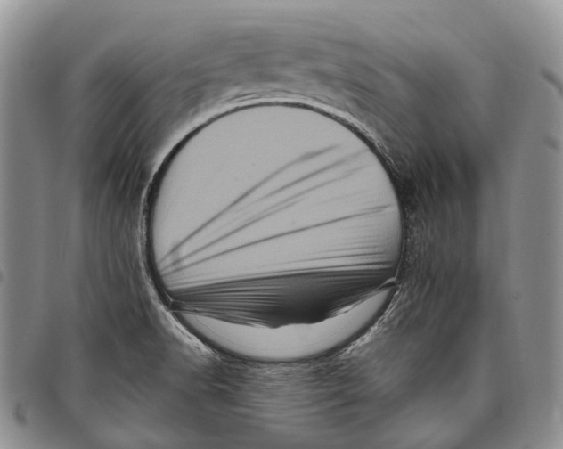 X0000097991518200804141129