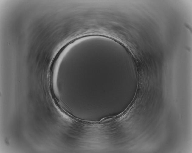 X0000097991519200804141129