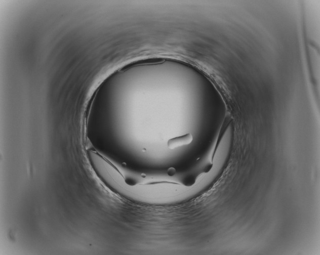 X0000097991520200804141129