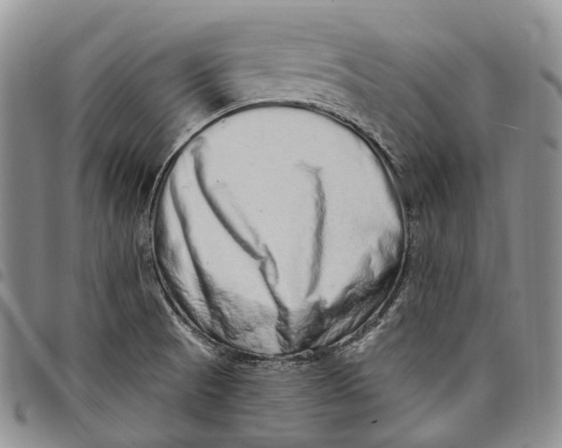 X0000097991521200804141129