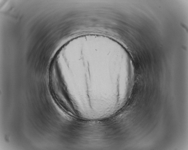 X0000097991523200804141129