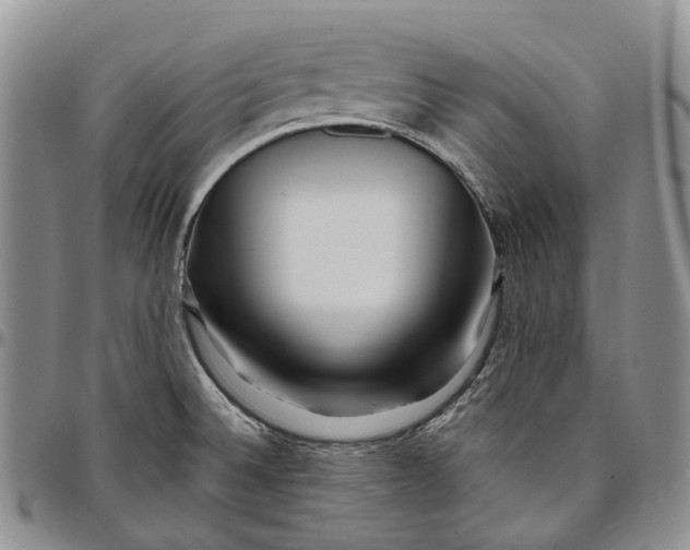 X0000097991524200804141129