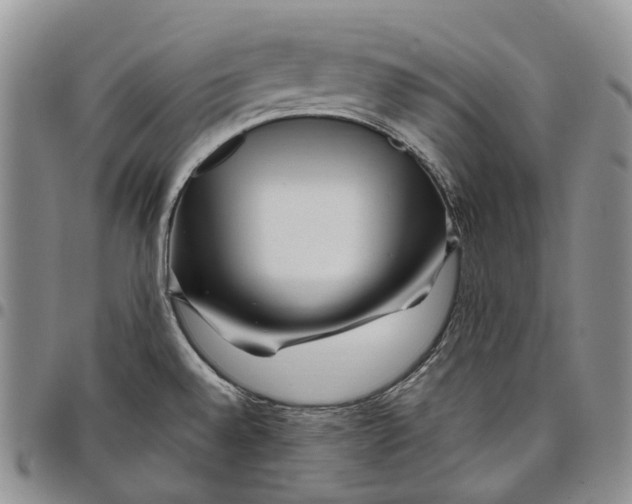 X0000097991528200804141129