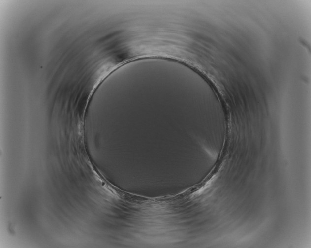 X0000097991529200804141129