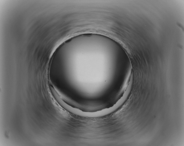 X0000097991530200804141129