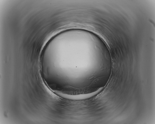 X0000097991531200804141129