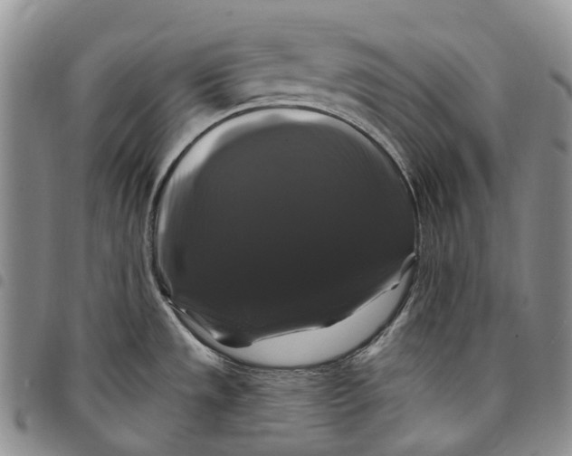 X0000097991533200804141129