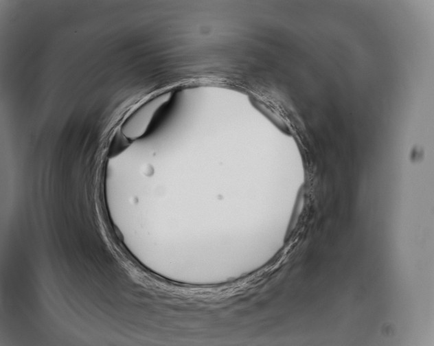 X0000097990001200804211116