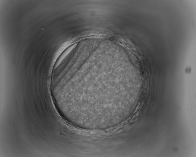 X0000097990003200804211116