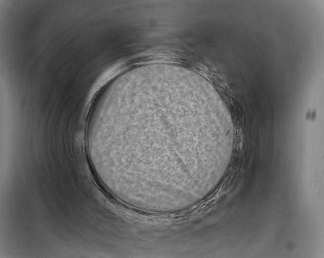 X0000097990004200804211116