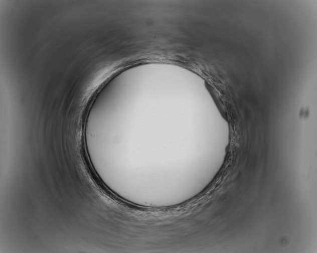 X0000097990005200804211116