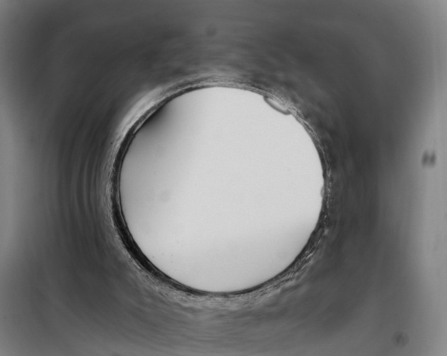 X0000097990007200804211116