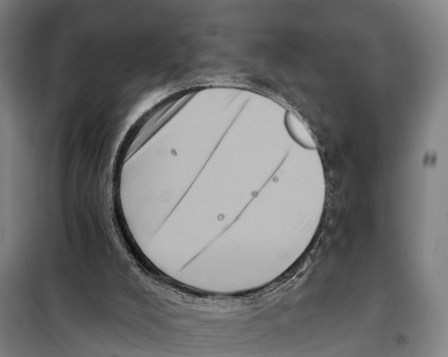 X0000097990008200804211116