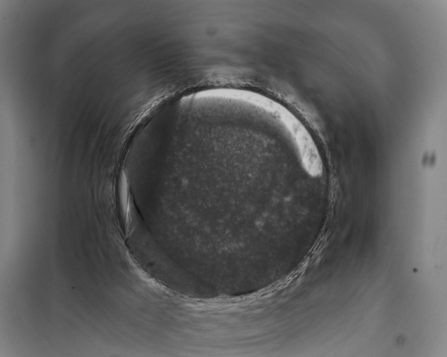 X0000097990009200804211116