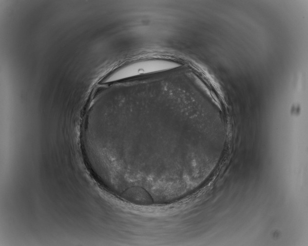 X0000097990010200804211116