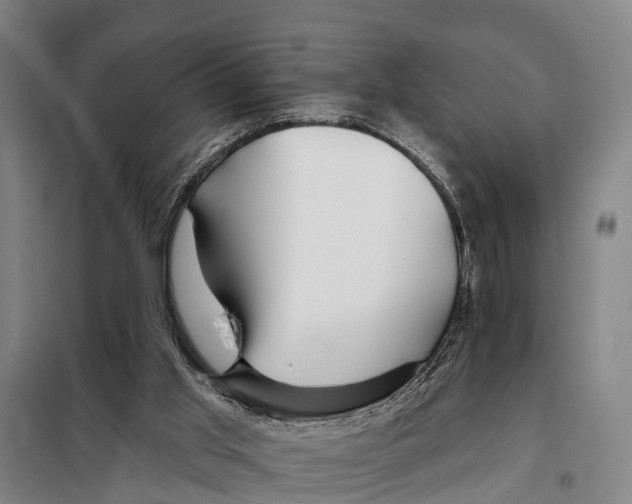 X0000097990013200804211116