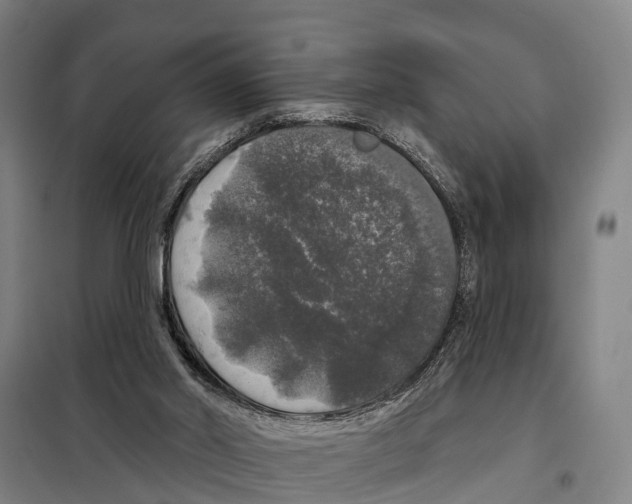 X0000097990014200804211116