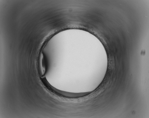 X0000097990015200804211116