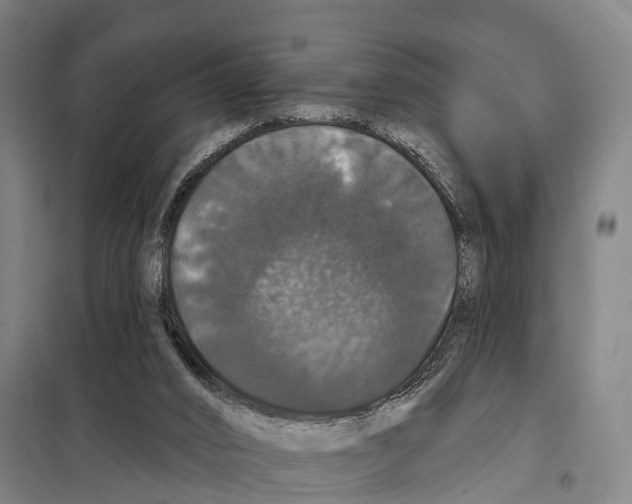 X0000097990016200804211116