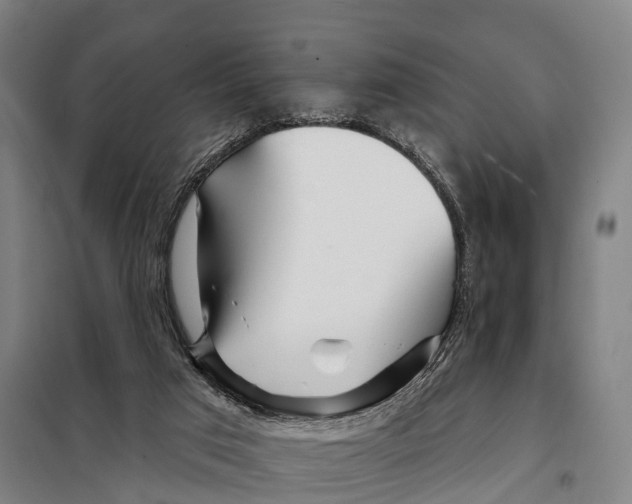 X0000097990017200804211116