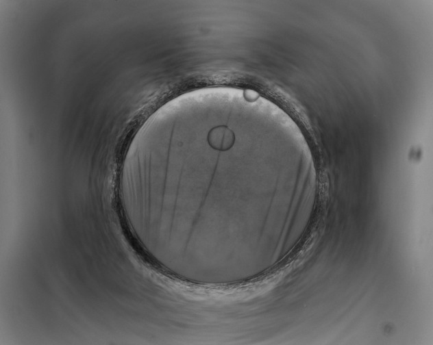 X0000097990018200804211116