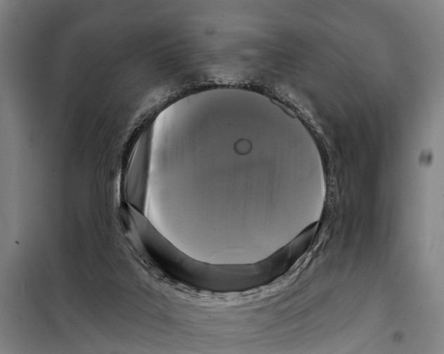 X0000097990019200804211116