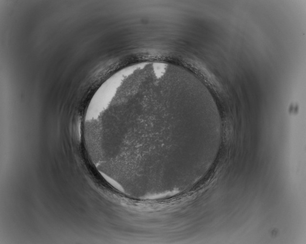 X0000097990022200804211116