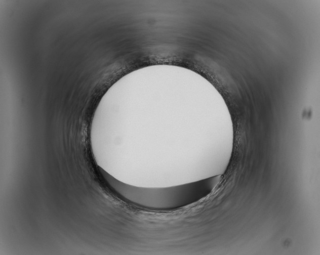 X0000097990025200804211116