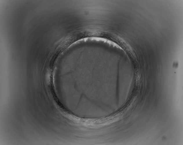 X0000097990026200804211116