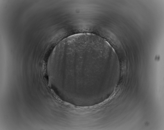 X0000097990029200804211116