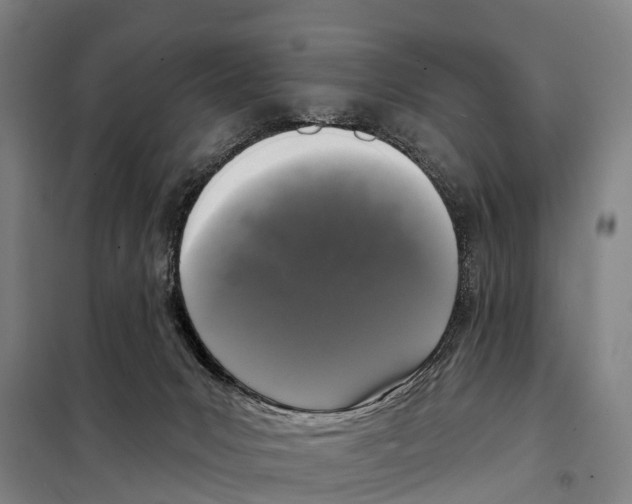 X0000097990031200804211116