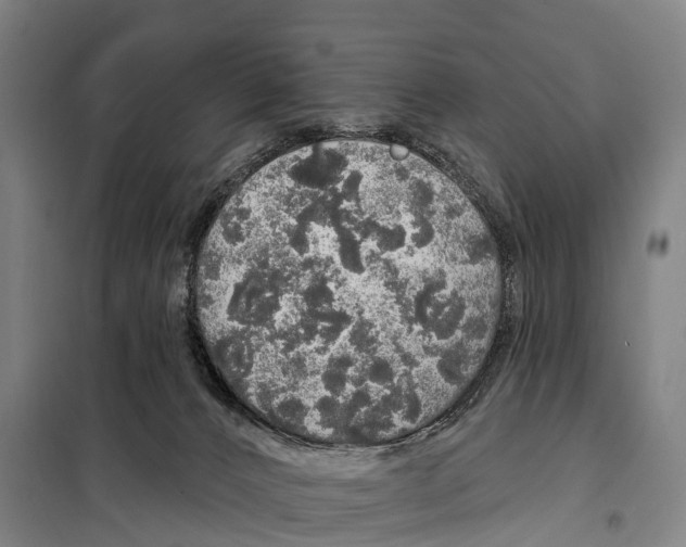 X0000097990032200804211116