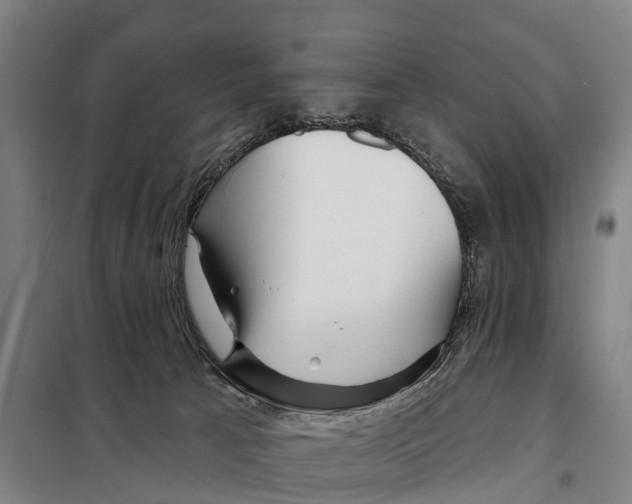 X0000097990033200804211116