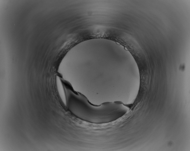 X0000097990035200804211116